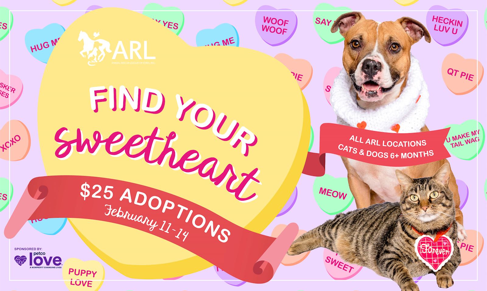 25 pet hot sale adoption near me